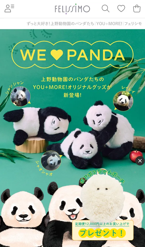 ずっと大好き！上野動物園のパンダたち｜YOU+MORE!｜フェリシモのモバイルサイズの画像