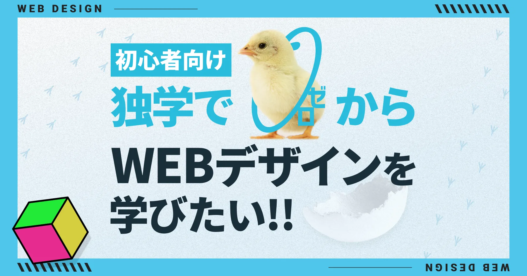 【初心者向け】 独学で0からWEBデザインを学びたい!! 基本の学習ステップをご紹介