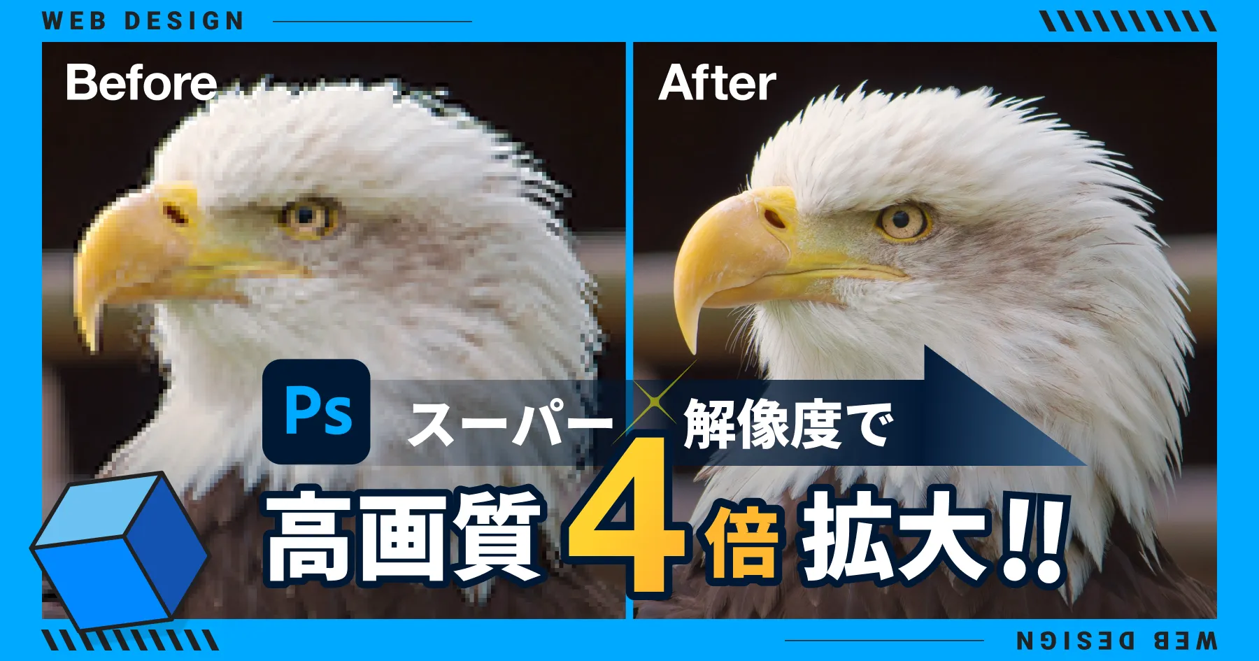 【デザイナー必見】Photoshopのスーパー解像度で高画質化&4倍拡大のPCサイズの画像