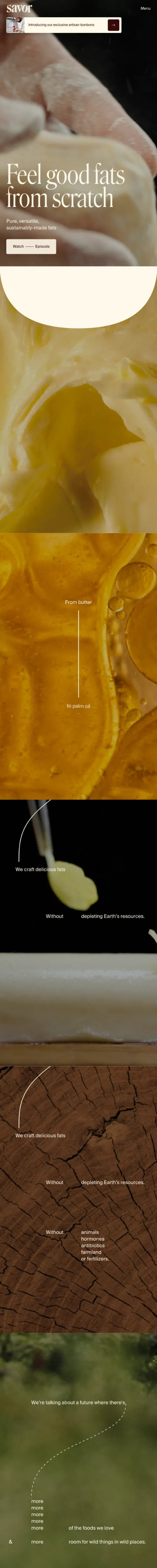 Savorのモバイルサイズの画像
