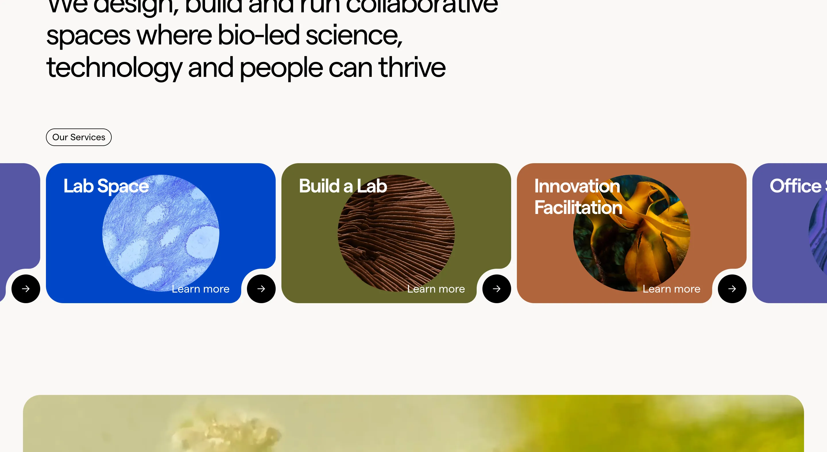 このデザインを作ってみよう!